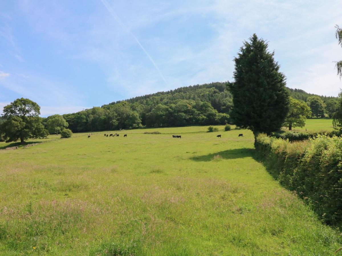 Lees Moor Cottage マトロック エクステリア 写真